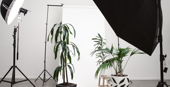 Wicked Angel Productions